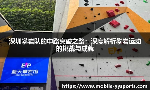 YY易游体育官网