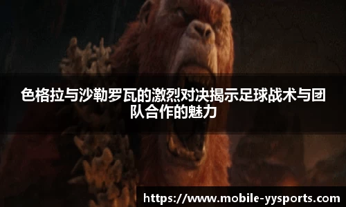 YY易游体育平台